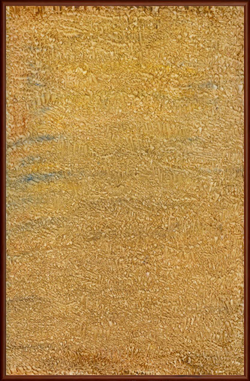 Multidimensional & Multidisciplinary Artist