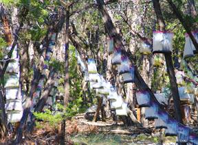 Multidisciplinary Art